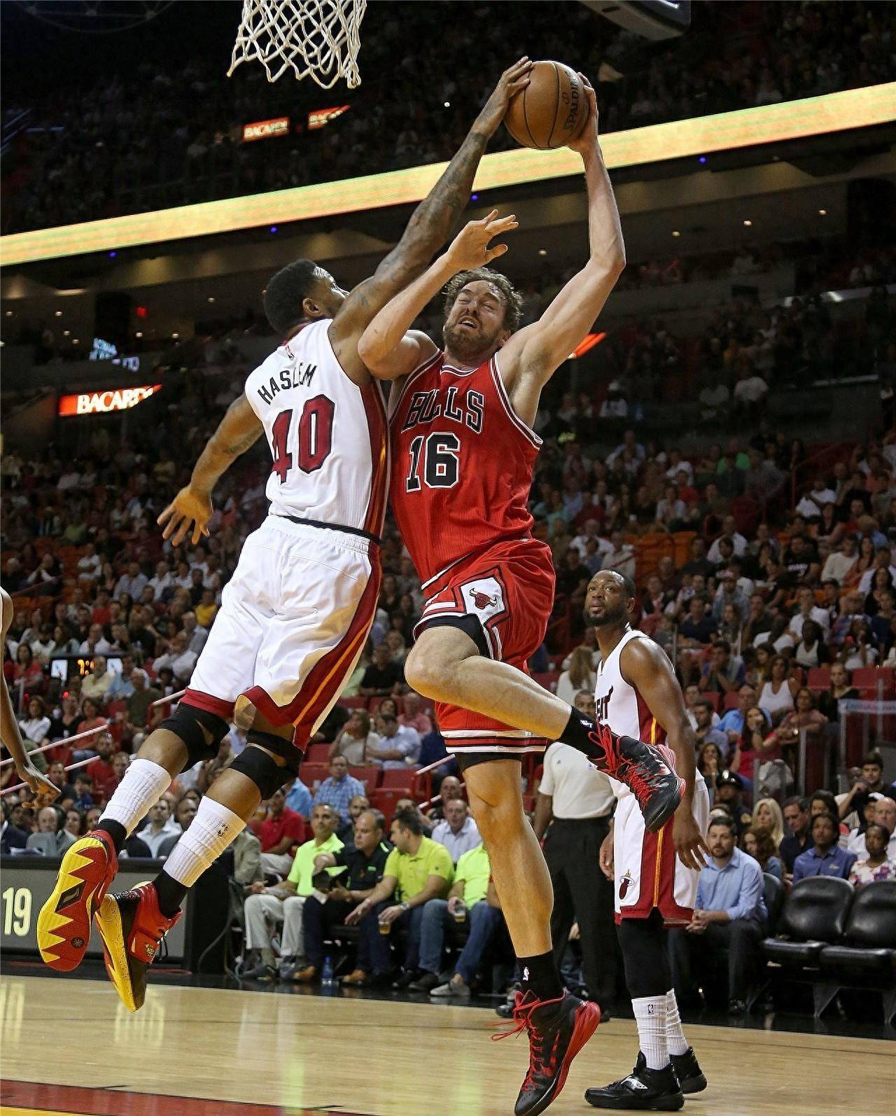 以及无数精 以及无数精