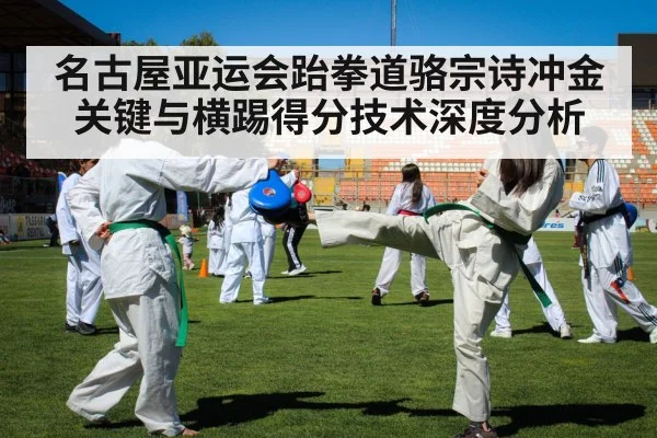 taekwondo kick competition